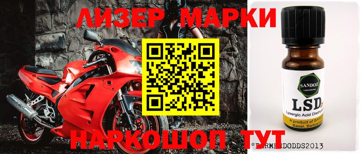Сокол  Наркотические марки 1500мкг  Вход с VPN 