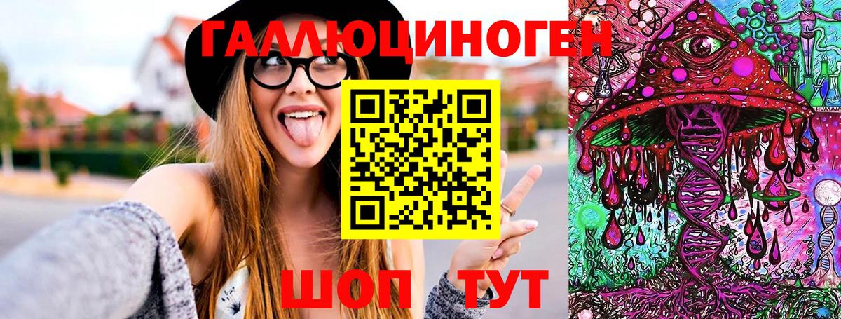 Сокол  Галлюциногенные грибы Cubensis  Вход с VPN 