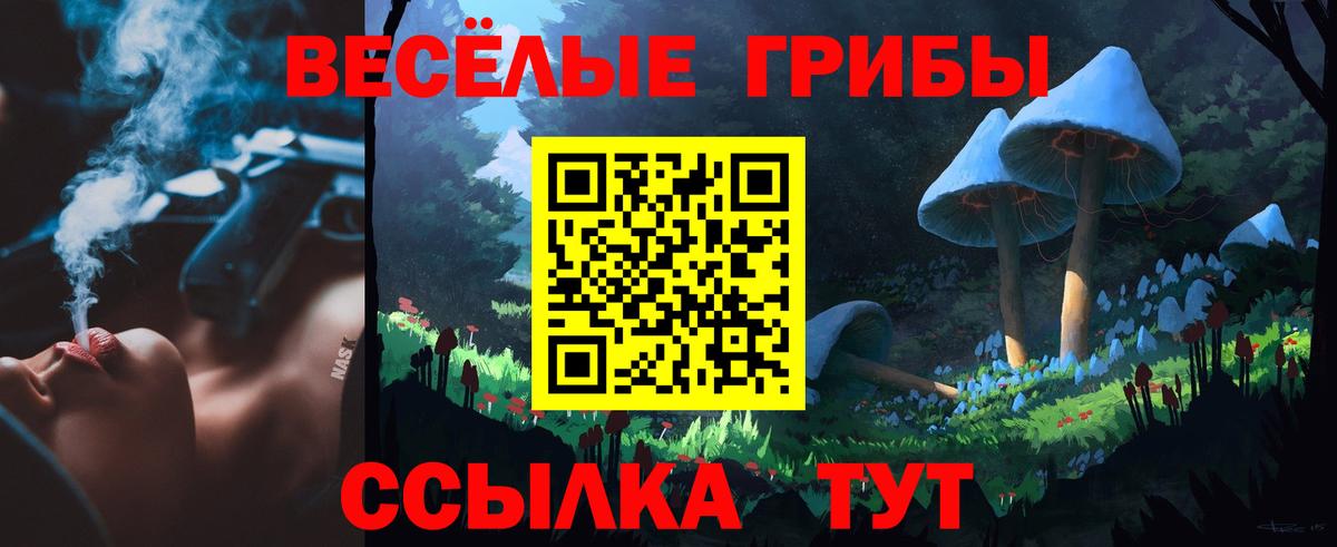 Псилоцибиновые грибы Psilocybine cubensis Сокол